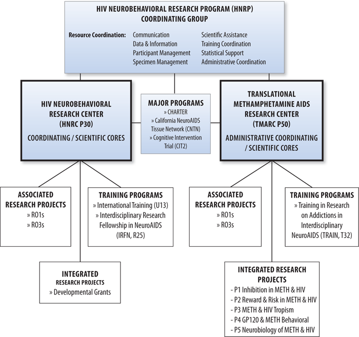 Organization